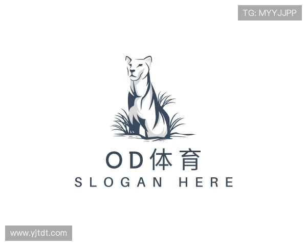 知道OD体育官网